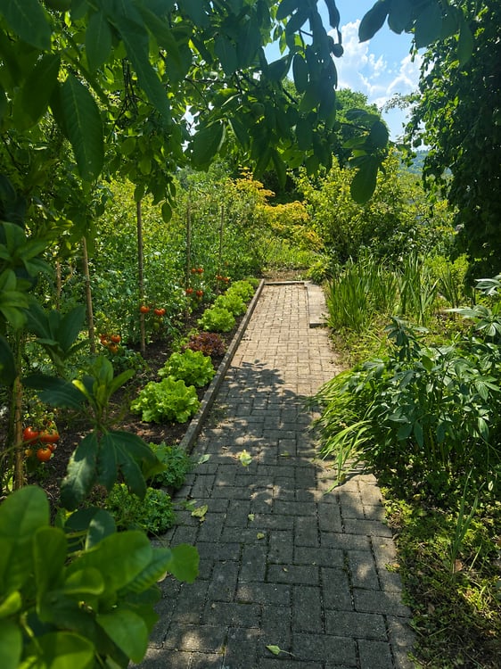 Wohnen wie im eigenen Haus - Attika-Maisonette mit Traumterrasse & Garten 2