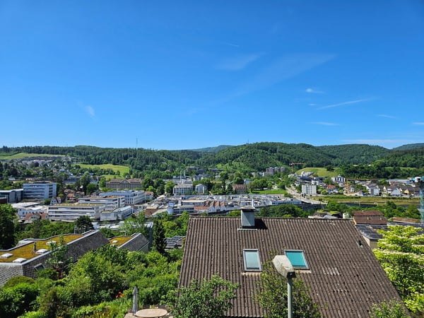 Wohnen wie im eigenen Haus - Attika-Maisonette mit Traumterrasse & Garten 2