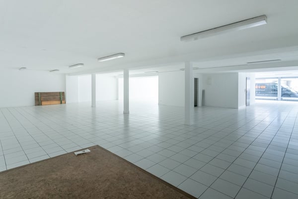 Gewerbefläche in Riehen zu vermieten (218 m2) 1