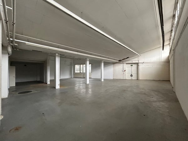 235 m2 Gewerbe (Zwischennutzung) 2