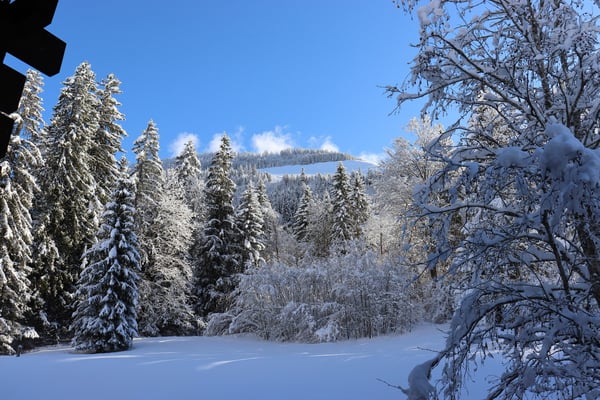Luxuriöse 1.5-Zimmerwohnung am Wiriehorn 2