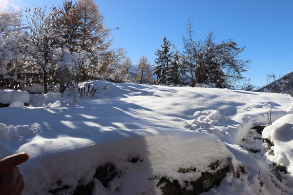 Ferienwohnung in Bellwald 1.5-Zimmer +1 10