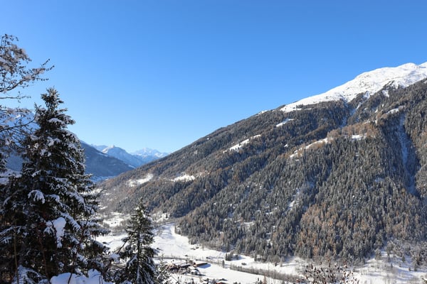 Ferienwohnung in Bellwald 1.5-Zimmer +1 2