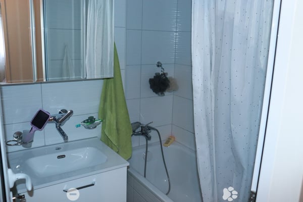 Charmante Erdgeschosswohnung in Matten bei Interlaken 6