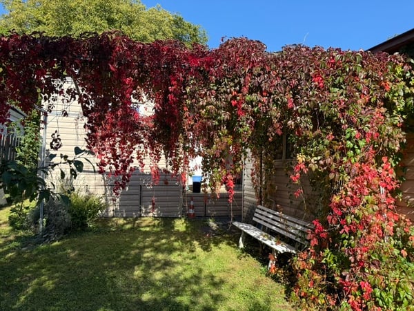Hübsches Campinghaus in idyllischer Lage bei La Neuveville! 5