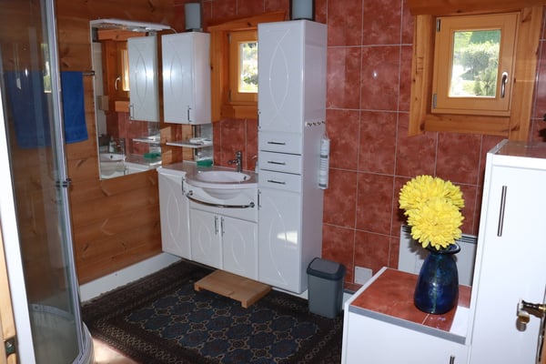 Traum Chalet in Nax Wallis 10