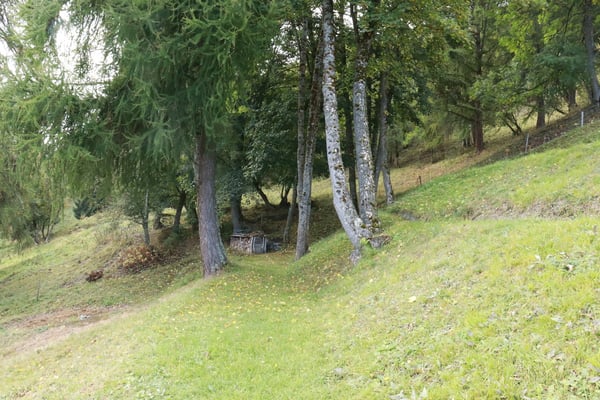 Rustikales Walliser Chalet in Hérémence 3