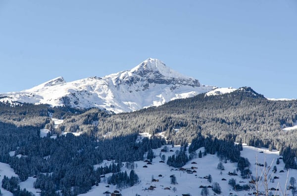 Stilvolle 1.5-Zimmerwohnung, Chalet Silberblume 3