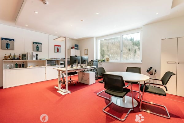Moderne, grossflächige Büro- & Gewerbefläche in Matten 6