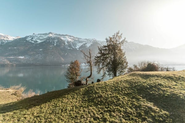 Wunderschöne 4.5-Zimmerwohnung mit Bootsplatz und Seesicht, Chalet Brienzersee 3