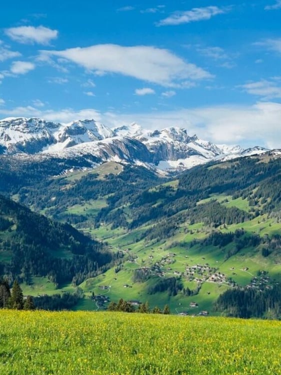 Gemütliche 3.5 Zimmerwohnung an der Lenk 3