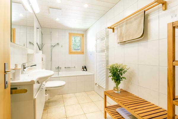 Ski-in/Ski-out Penthouse in Wengen 20