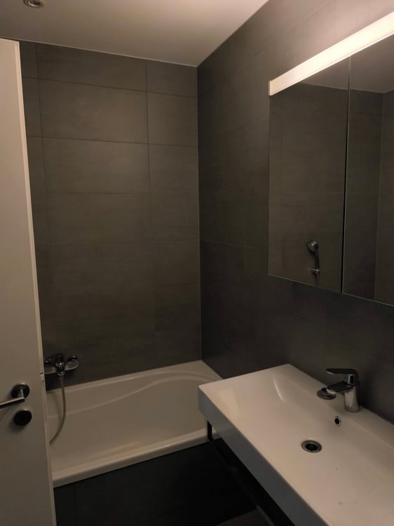 schöne 1.5 Zimmerwohnung mit grosser Terrasse im Erdgeschoss 5