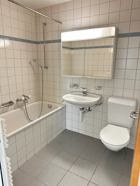 1 1/2 - Zimmerwohnung, Solothurn 8