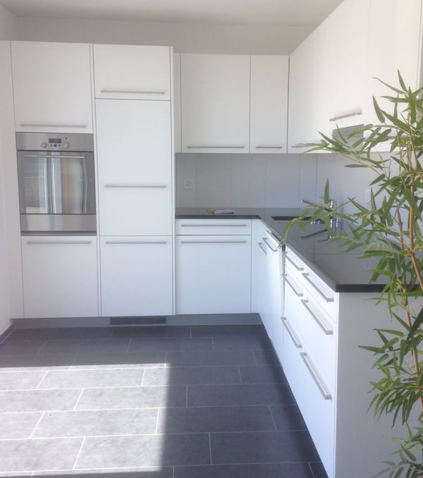 Attikawohnung im Verenapark, Gerlafingen 3