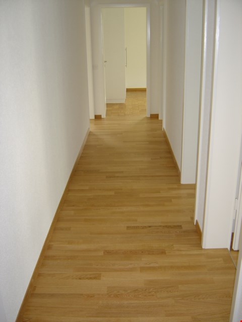 komplett sanierte Altbau-Wohnung 8
