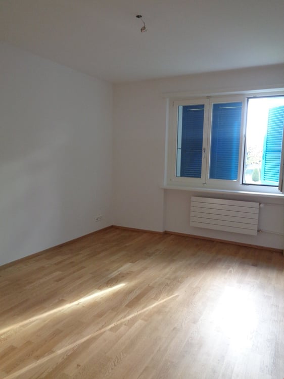 komplett sanierte Altbau-Wohnung 4