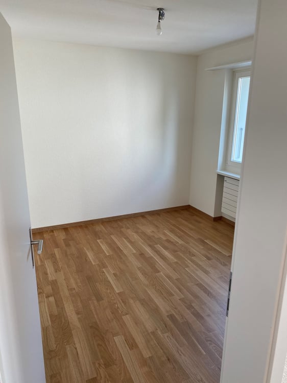 komplett sanierte Altbau-Wohnung 6