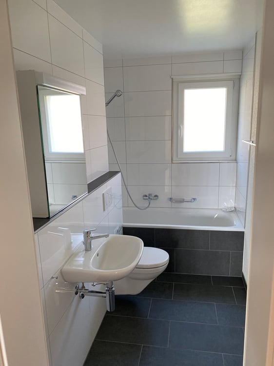 komplett sanierte Altbau-Wohnung 3