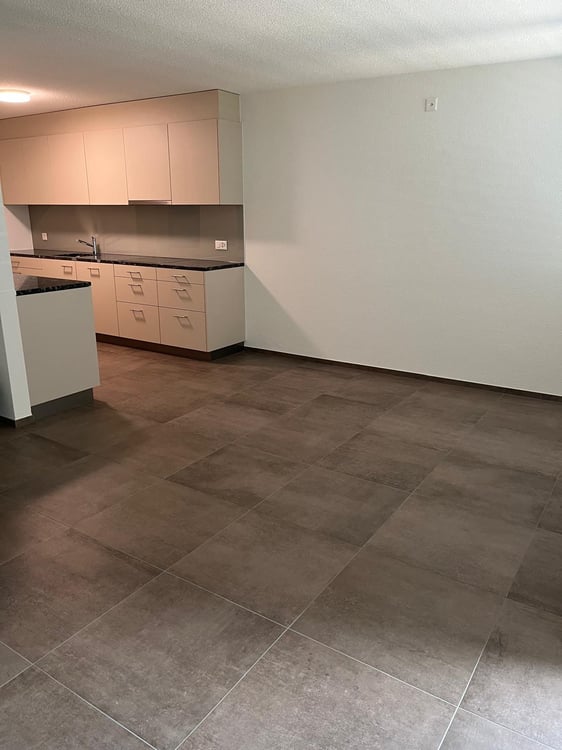 Helle 4.5-Zimmer-Wohnung mit Balkon und schöner Aussicht in Zuchwil 3
