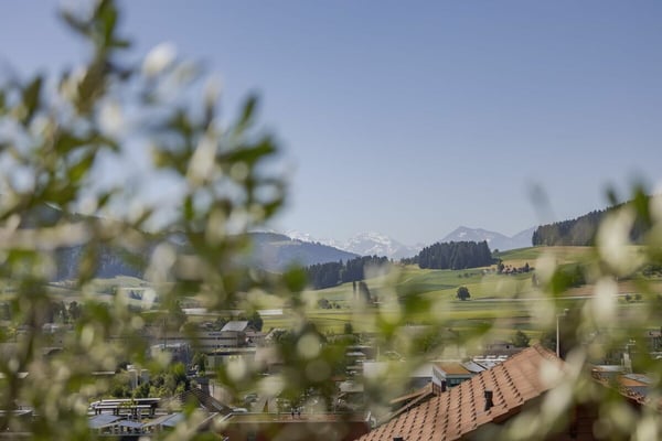 Moderne Attikawohnung mit traumhafter Weitsicht 12