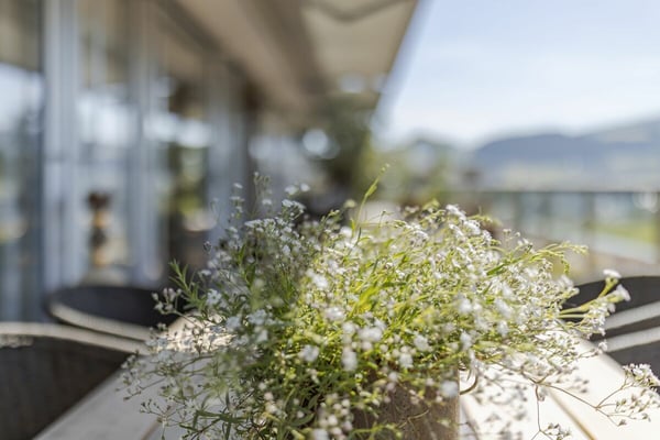 Moderne Attikawohnung mit traumhafter Weitsicht 13