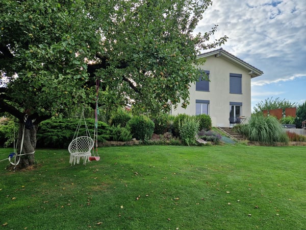 Immagine anteprima degli immobili