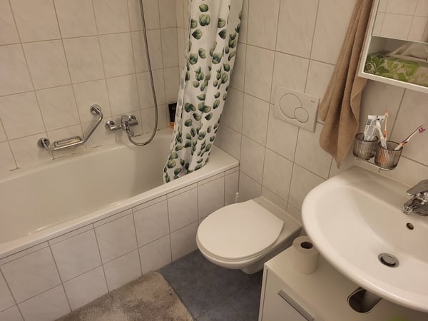 APPARTEMENT 1 PIÈCES À CRISSIER (VD), MEUBLÉ, DURÉE DÉTERMINÉE 8