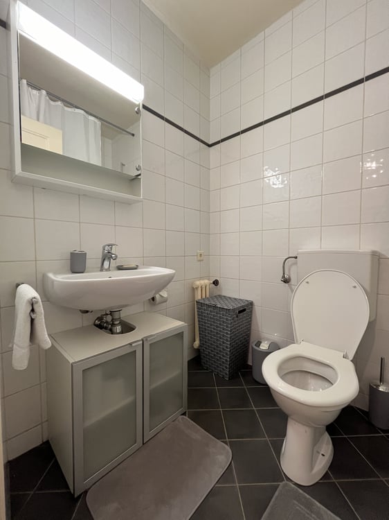 APPARTEMENT 1 PIÈCES À GENÈVE - PLAINPALAIS/ACACIAS, MEUBLÉ, DURÉE DÉT 6