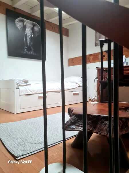 APPARTEMENT MANSARDÉ 1½ PIÈCES À GENÈVE - CENTRE, MEUBLÉ, DURÉE DÉTERM 6