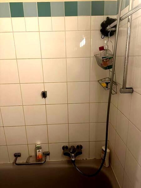 APPARTEMENT MANSARDÉ 1½ PIÈCES À GENÈVE - CENTRE, MEUBLÉ, DURÉE DÉTERM 9