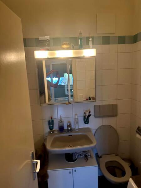 APPARTEMENT MANSARDÉ 1½ PIÈCES À GENÈVE - CENTRE, MEUBLÉ, DURÉE DÉTERM 8