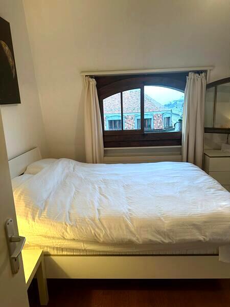 APPARTEMENT MANSARDÉ 1½ PIÈCES À GENÈVE - CENTRE, MEUBLÉ, DURÉE DÉTERM 7