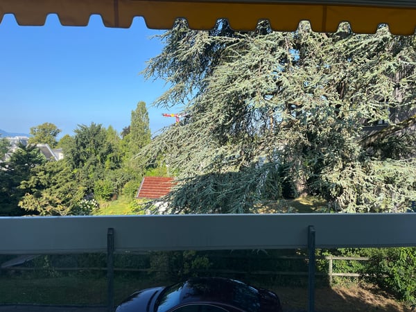 APPARTEMENT 1½ PIÈCES À LA TOUR-DE-PEILZ (VD), MEUBLÉ, DURÉE DÉTERMINÉ 9