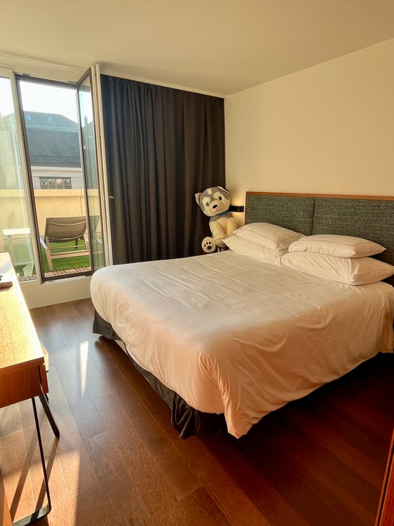 APPARTEMENT 1 PIÈCES À GENÈVE - CENTRE, MEUBLÉ, DURÉE DÉTERMINÉE 5