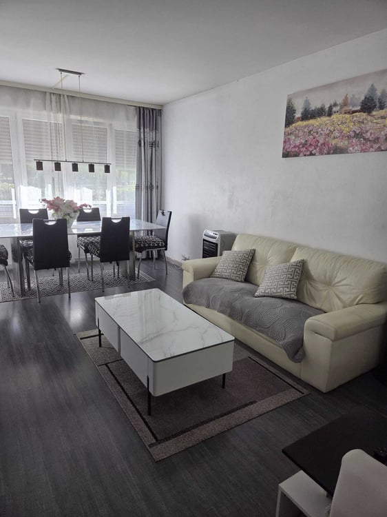 APPARTEMENT 1½ PIÈCES À GRAND-LANCY (GE), MEUBLÉ, DURÉE DÉTERMINÉE 1