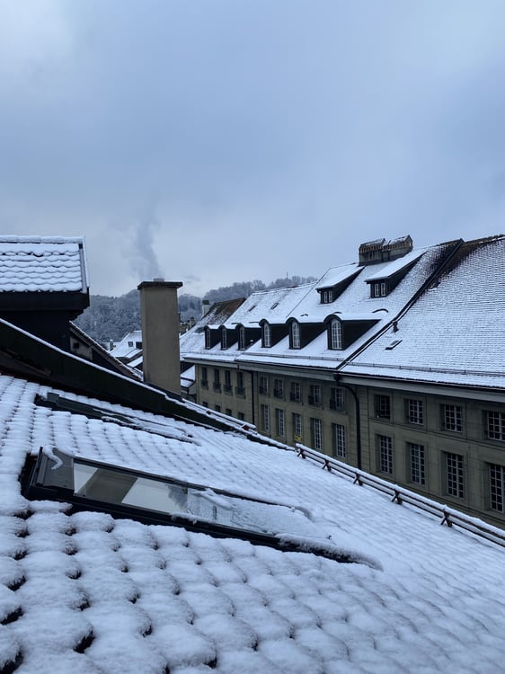 APPARTEMENT 2 PIÈCE À FRIBOURG (FR), MEUBLÉ 9