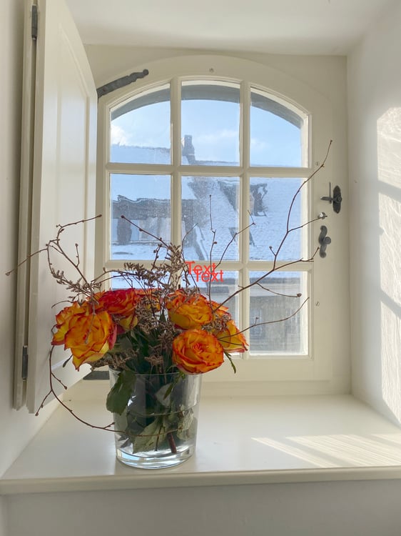 APPARTEMENT 2 PIÈCE À FRIBOURG (FR), MEUBLÉ 3