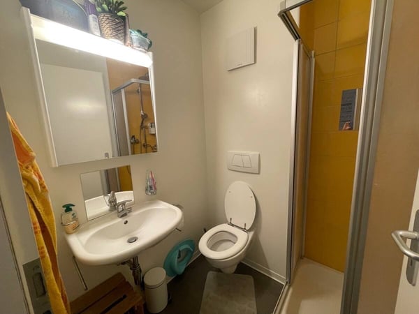 APPARTEMENT 1½ PIÈCES À CULLY (VD), MEUBLÉ, DURÉE DÉTERMINÉE 6