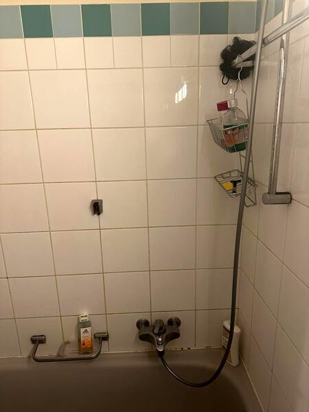 APPARTEMENT MANSARDÉ 2½ PIÈCES À GENÈVE - CENTRE, MEUBLÉ, DURÉE DÉTERM 9