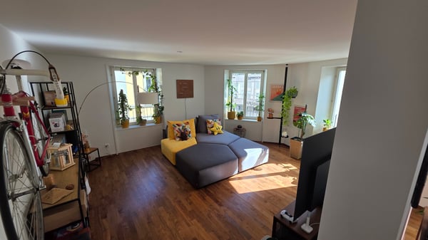 APPARTEMENT 3½ PIÈCES À BIEL/BIENNE (BE), MEUBLÉ, DURÉE DÉTERMINÉE 4