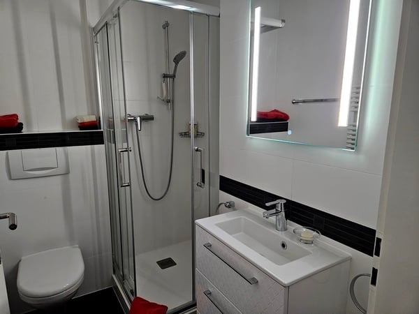 APPARTEMENT 4 PIÈCES À GENÈVE - EAUX-VIVES, MEUBLÉ 5