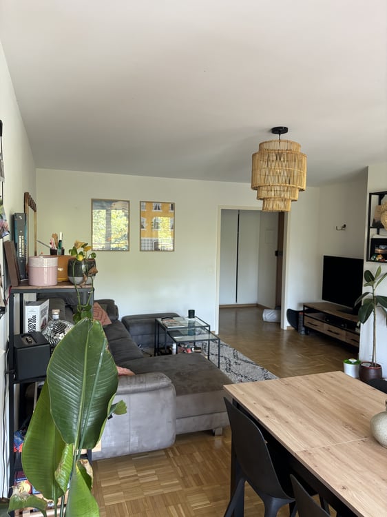 APPARTEMENT 4 PIÈCES À GENÈVE - PLAINPALAIS/ACACIAS, MEUBLÉ, DURÉE DÉT 2