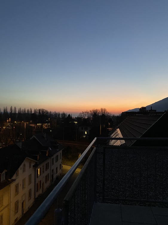 APPARTEMENT 3½ PIÈCES À BIEL/BIENNE (BE), MEUBLÉ, DURÉE DÉTERMINÉE 6