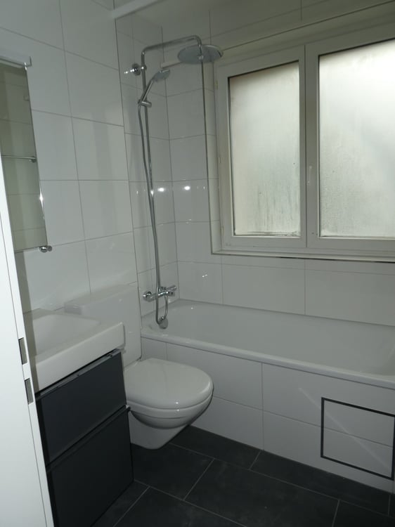 Schöne, sanierte 3.5-Zimmerwohnung 5