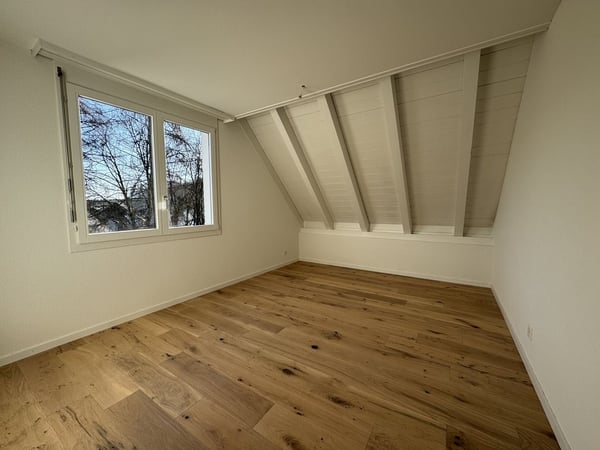 Frisch Sanierte - 9.5 Zimmer-Maisonette-Dachwohnung mit 310m2 6