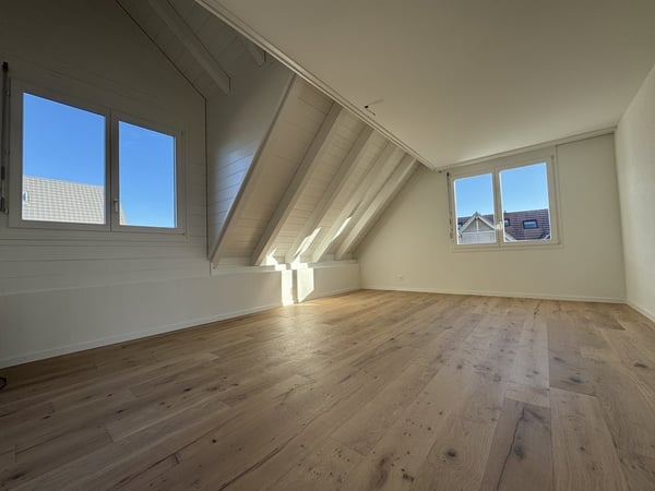 Frisch Sanierte - 9.5 Zimmer-Maisonette-Dachwohnung mit 310m2 5