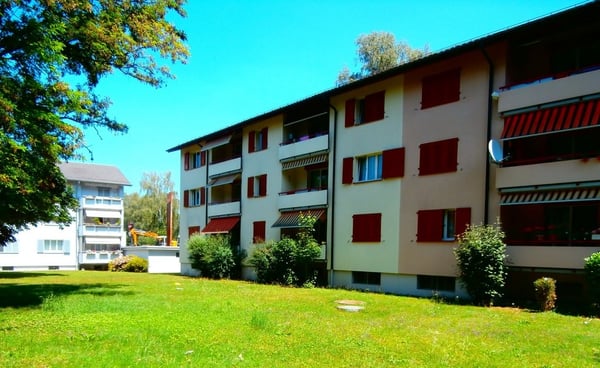Renovierte 3.0-Zimmerwohnung in Dietikon direkt am Fluss gelegen 1