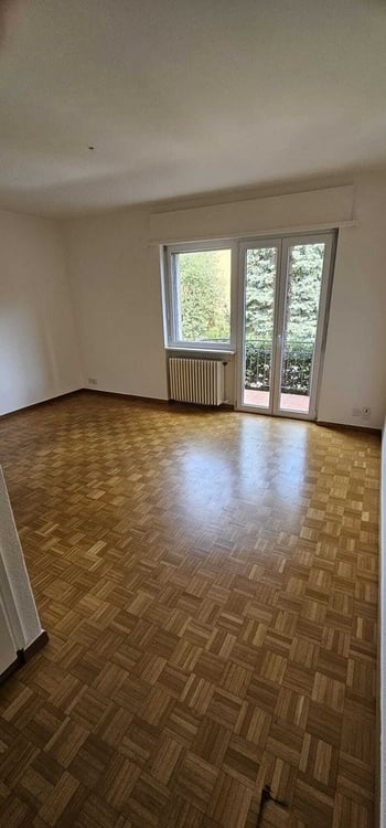 Bellissimo trilocale in affitto a Paradiso 4
