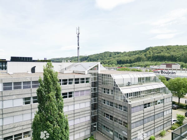 Zwei Gewerbeliegenschaften, ein attraktives Investment 4